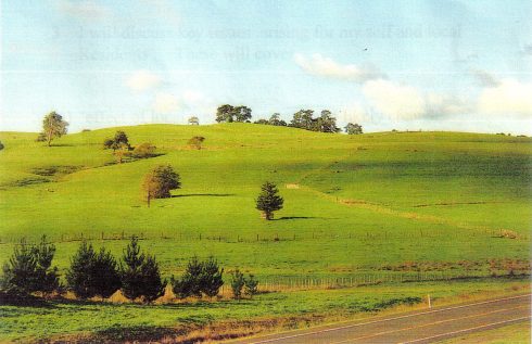 Noel Hair's property on Bell Road. The trees on the ridge line indicate the hill that is shared with the proposed mine site.